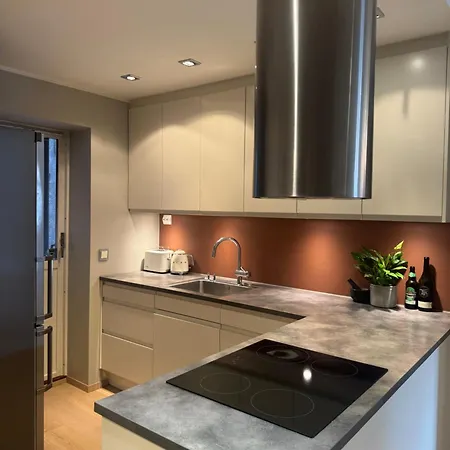 Apartman Stylish 2br With Patio And Smart Tv - 10 Min To Bryggen